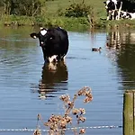 Nyaraló Maison Marguerite