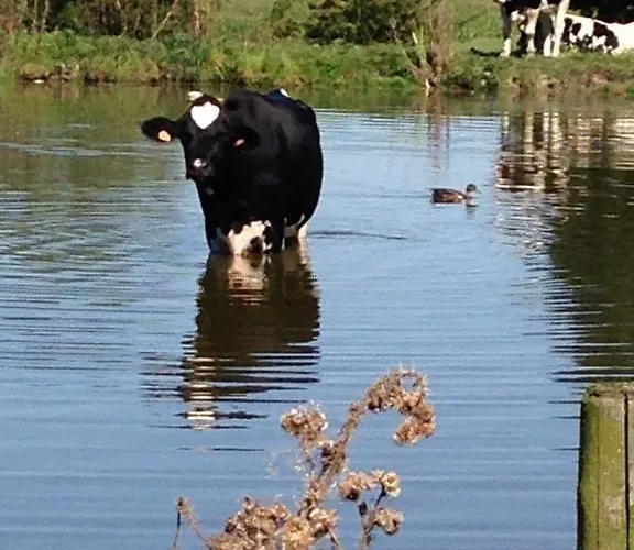 Feriehus Maison Marguerite
